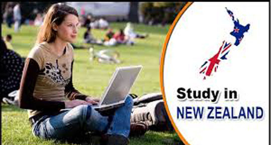 study in NewZealand